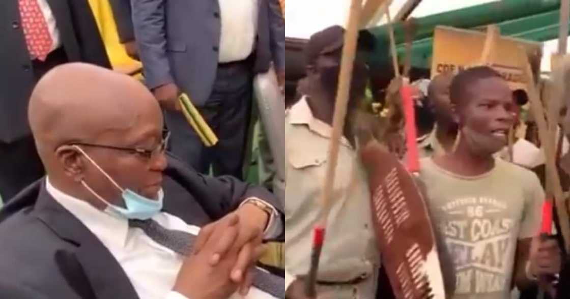 Duduzile Zuma Post Clip of Dad, Jz Chanting "Don't Provoke the Mamba"