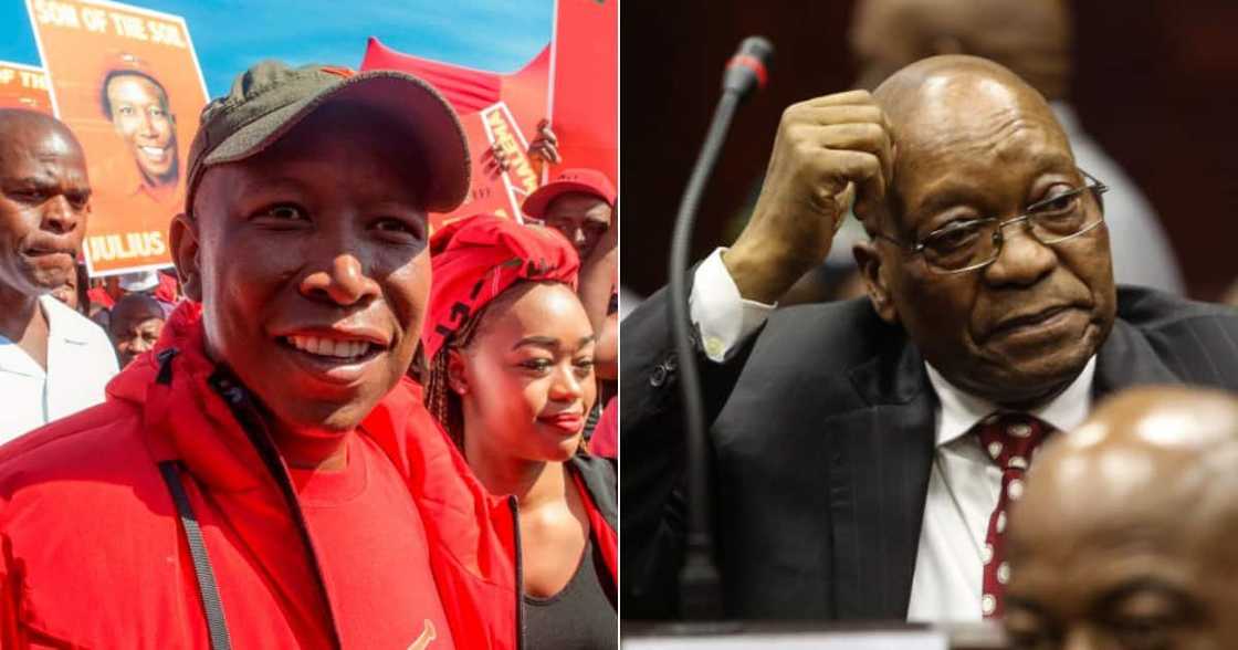 Julius Malema, Pray For South Africa, Jacob Zuma Julius Malema, Pray For South Africa, Jacob Zuma