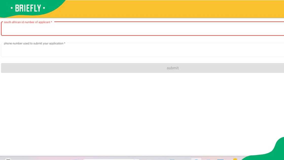 Screenshot of the SASSA application login window Screenshot of the SASSA application login window