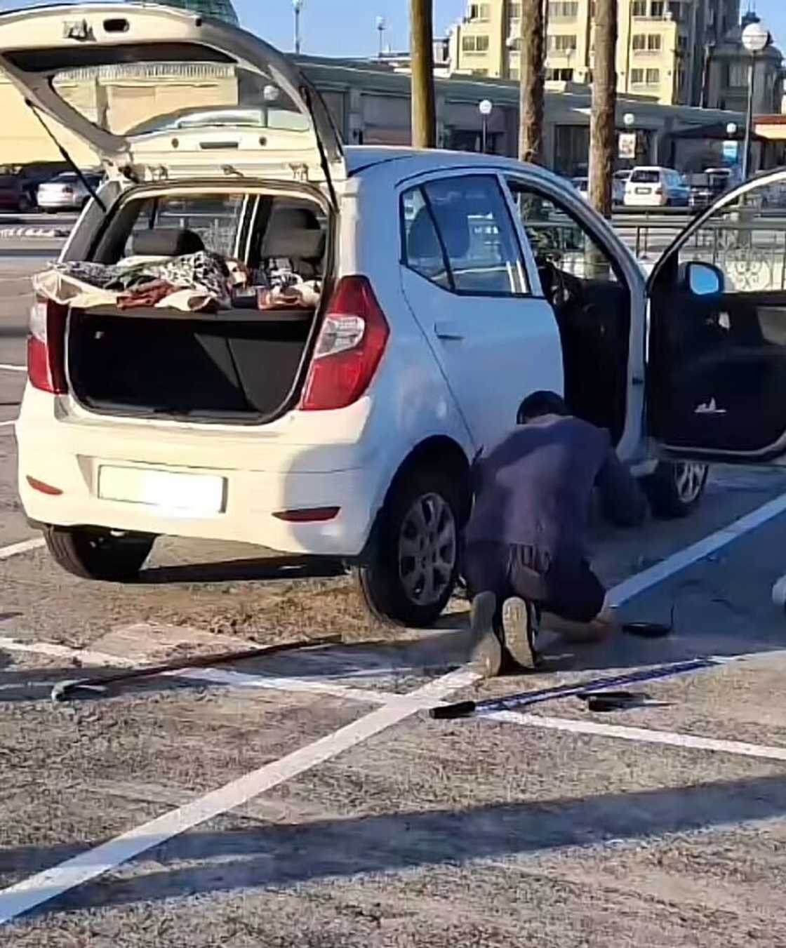A snake crawled into a parking lot at Canal Walk and a woman filmed it in a TikTok video. A snake crawled into a parking lot at Canal Walk and a woman filmed it in a TikTok video.