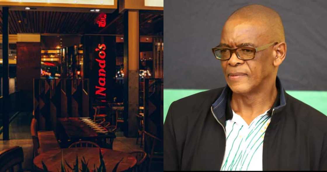"Battle of Suspensions": Nando's Makes Hilarious Ace Magashule Joke "Battle of Suspensions": Nando's Makes Hilarious Ace Magashule Joke