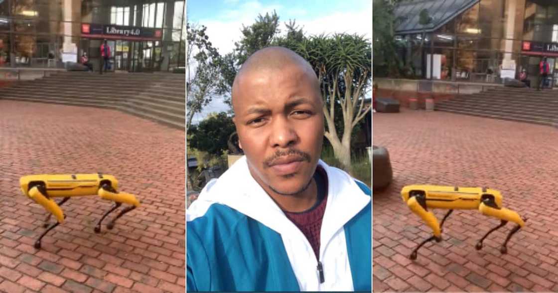Man, Reaction, Robotic Dog, The University of Johannesburg, Twitter reactions Man, Reaction, Robotic Dog, The University of Johannesburg, Twitter reactions