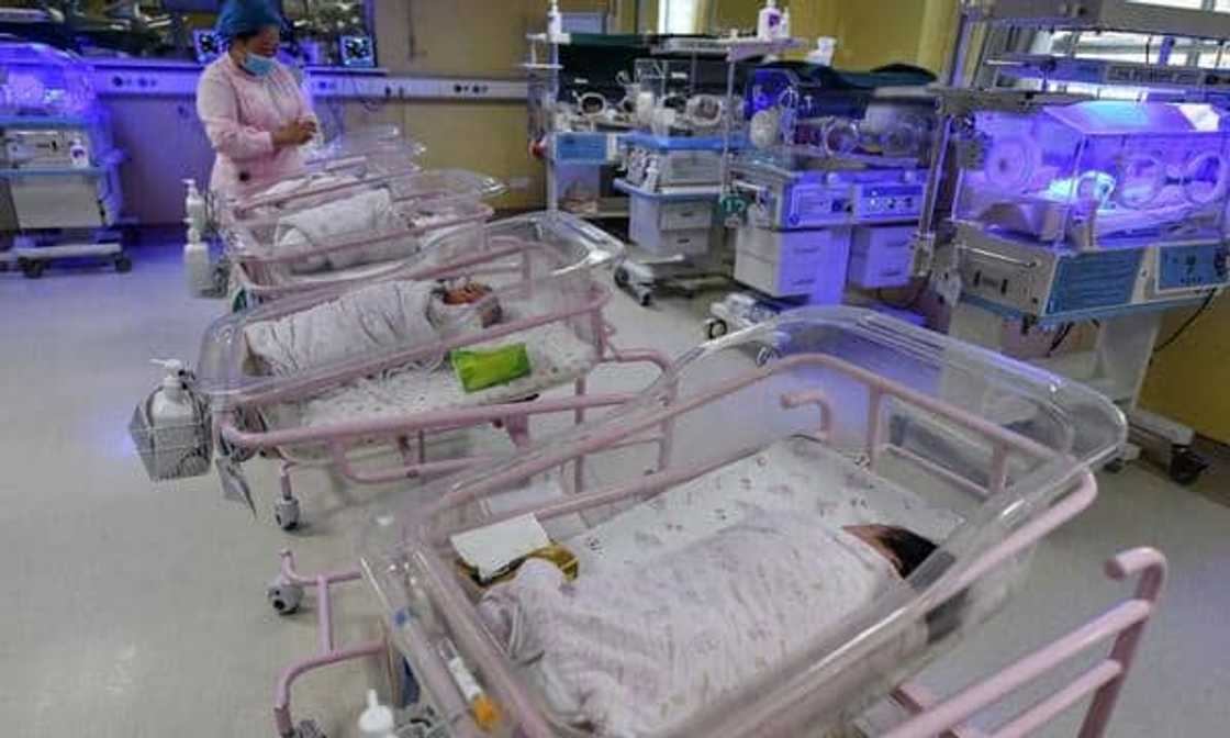 10 babies South Africa 10 babies South Africa