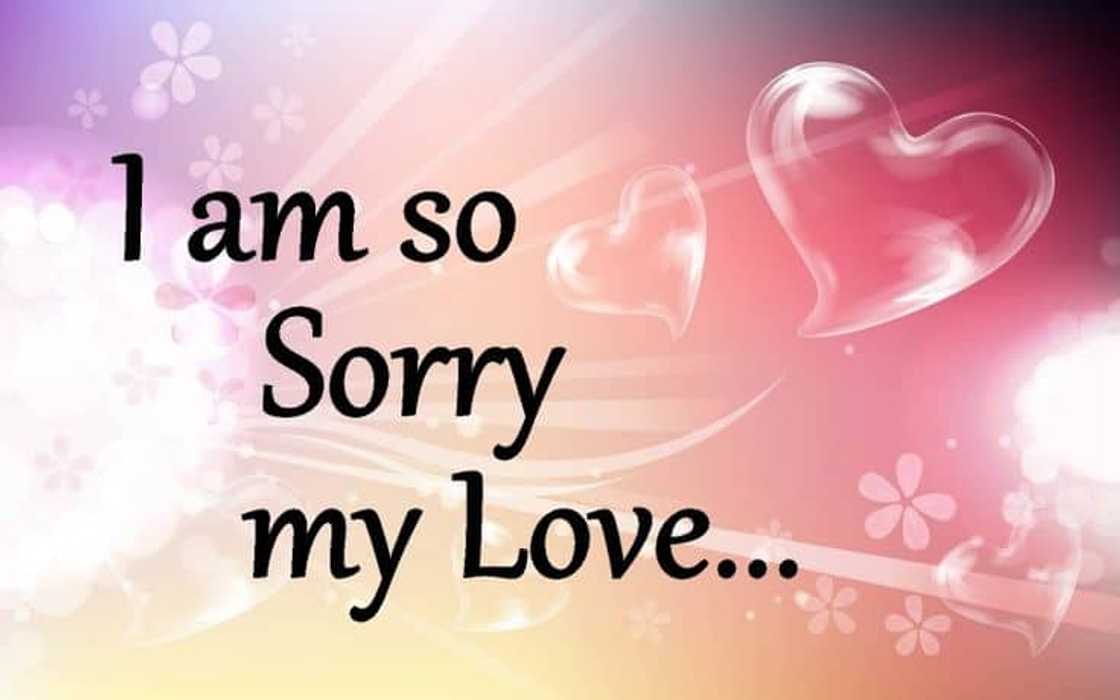 sorry messages sorry messages