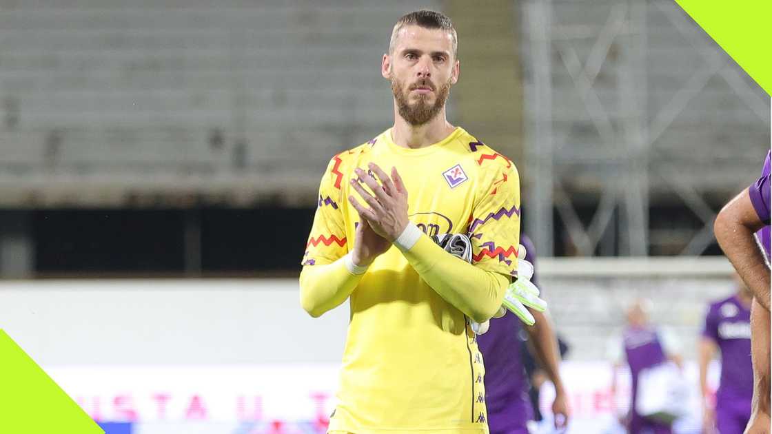 David de Gea won a Premier League title with Manchester United in 2013. David de Gea won a Premier League title with Manchester United in 2013.