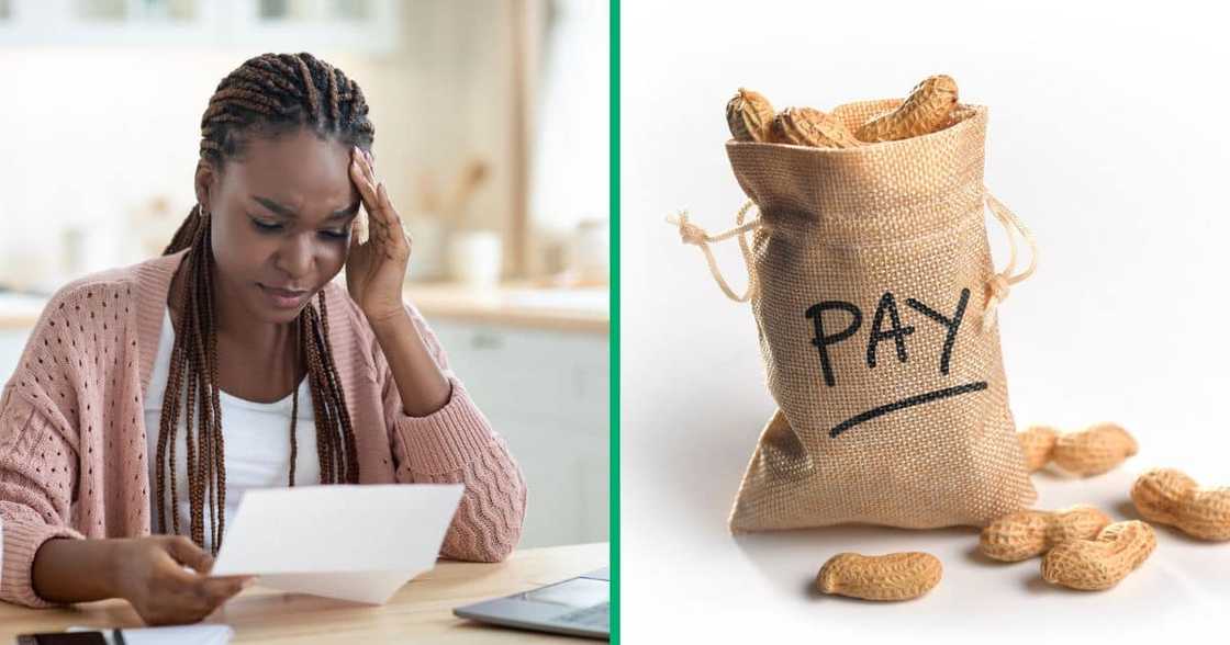 South African professionals have resorted to changing jobs because of salaries South African professionals have resorted to changing jobs because of salaries
