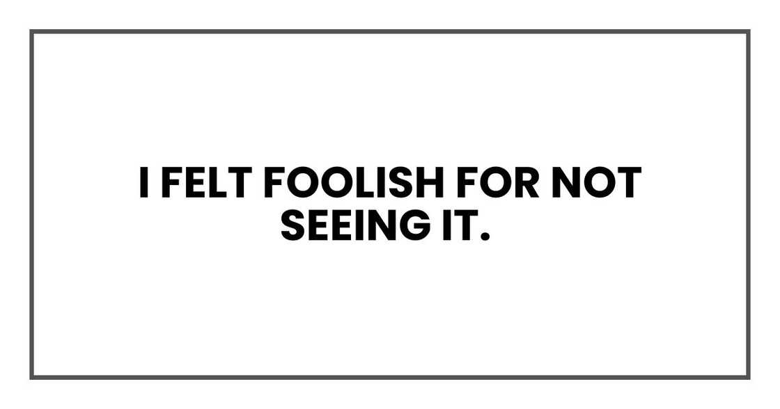 I felt foolish for not seeing it. I felt foolish for not seeing it.