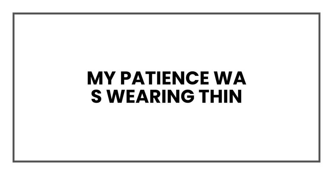 My patience was wearing thin My patience was wearing thin