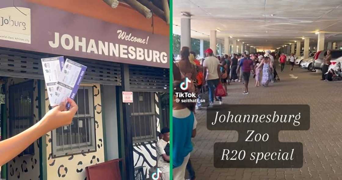 Johannesburg residents flocked to the local zoo because of the cheap special Johannesburg residents flocked to the local zoo because of the cheap special