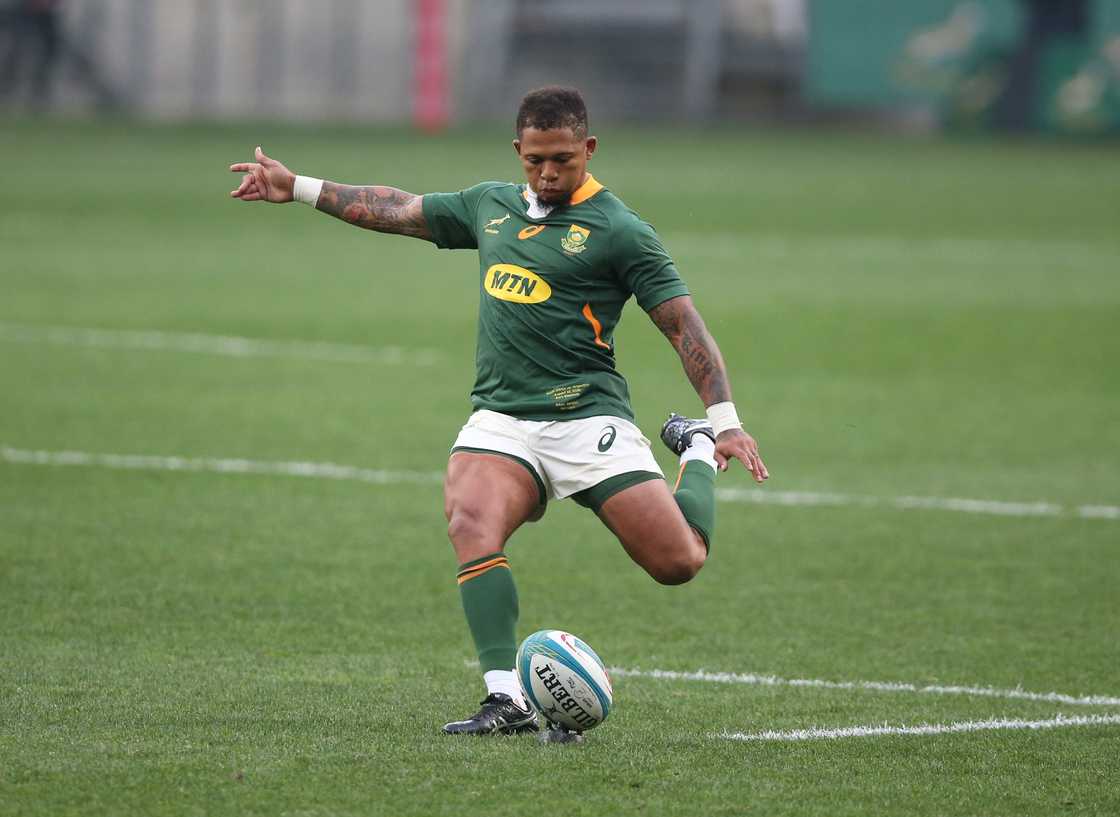 Springboks, South Africa, Elton Jantjies, Castle Lager Rugby Championship Springboks, South Africa, Elton Jantjies, Castle Lager Rugby Championship