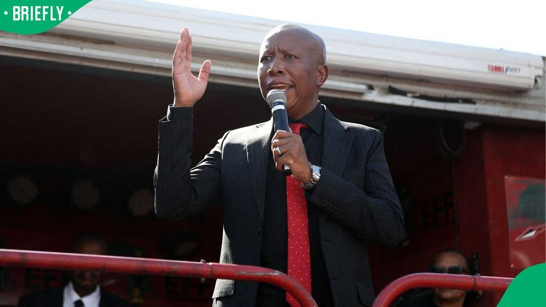 EFF leader Julius Malema