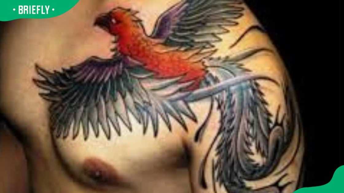 Do upper chest tattoos hurt? Do upper chest tattoos hurt?