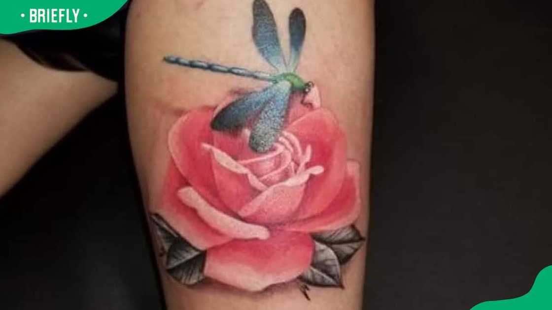 rose dragonfly tattoo rose dragonfly tattoo
