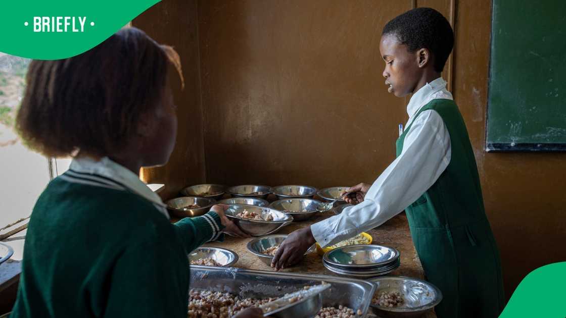 FEDSAS is against governments preventing schools from selling food FEDSAS is against governments preventing schools from selling food
