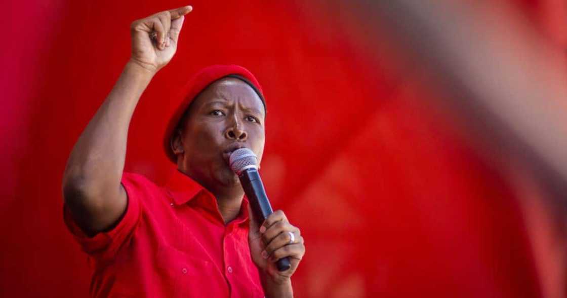 EFF leader Julius Malema EFF leader Julius Malema