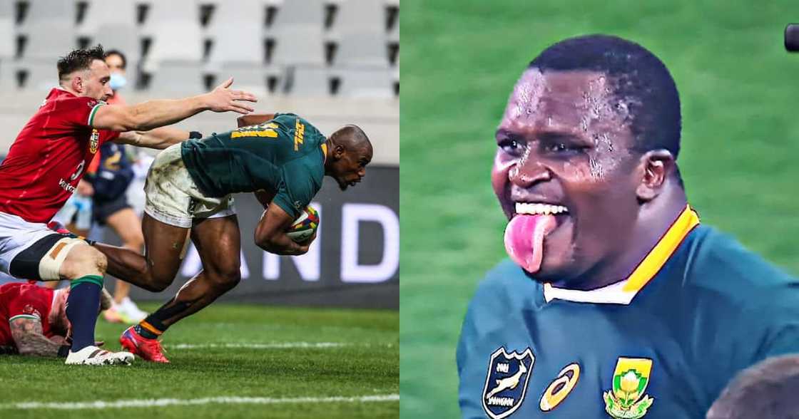 Springboks, win, British and Irish Lions Springboks, win, British and Irish Lions