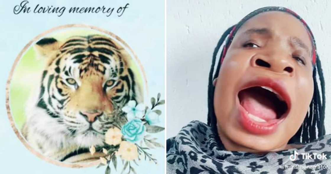 TikTok user Tums The Narrator TikTok user Tums The Narrator
