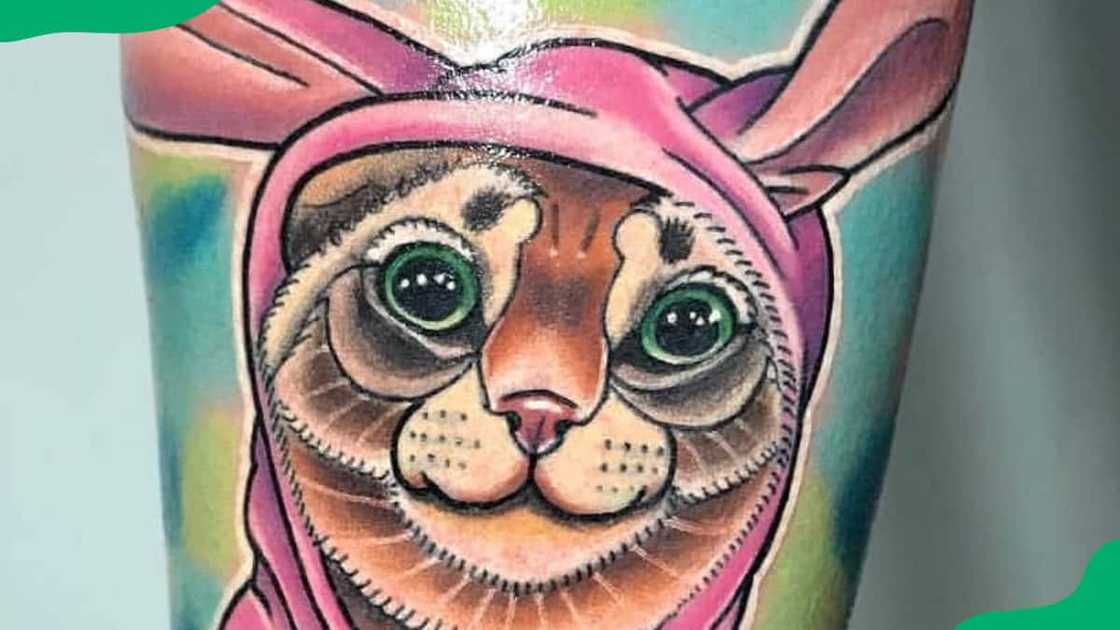 Cat in hoodie Cat in hoodie