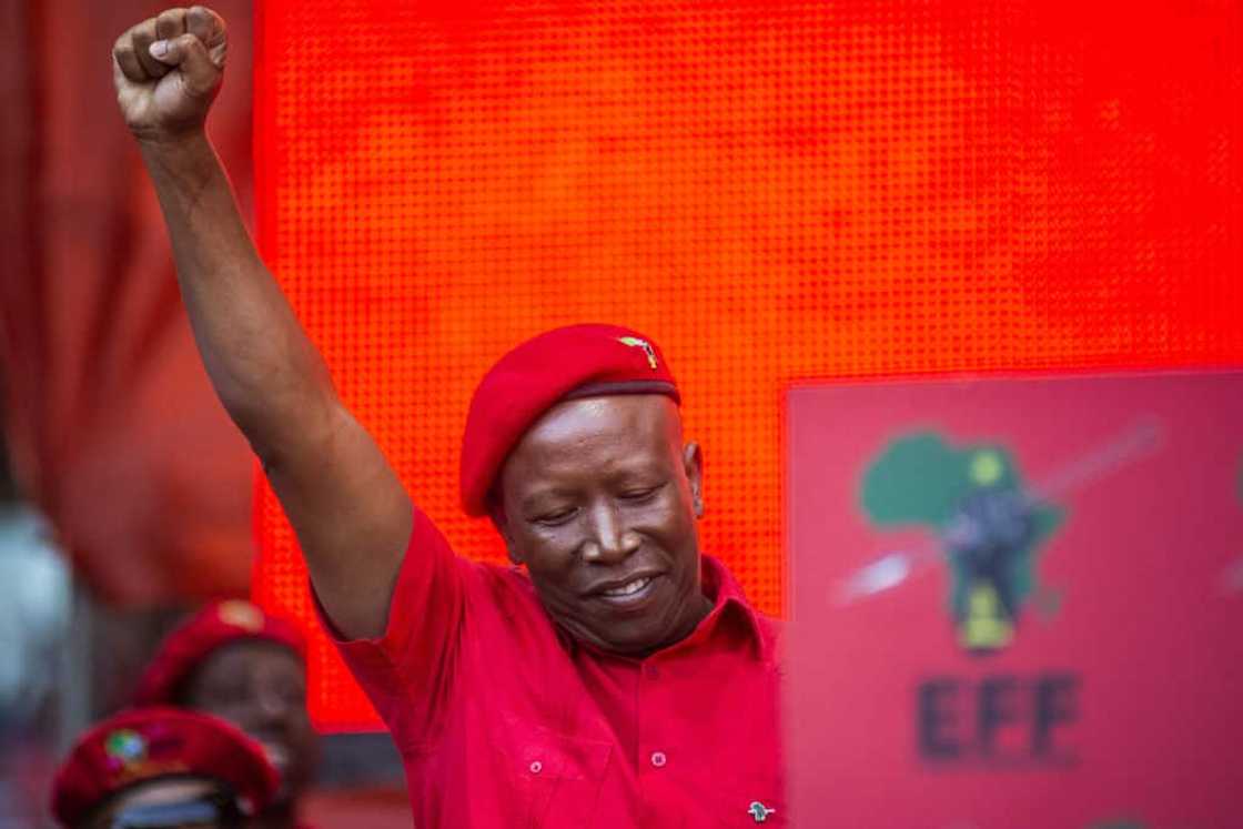 EFF leader Julius Malema, local government elects, manifesto, coalition government, municipalities, districts, metropolitans EFF leader Julius Malema, local government elects, manifesto, coalition government, municipalities, districts, metropolitans