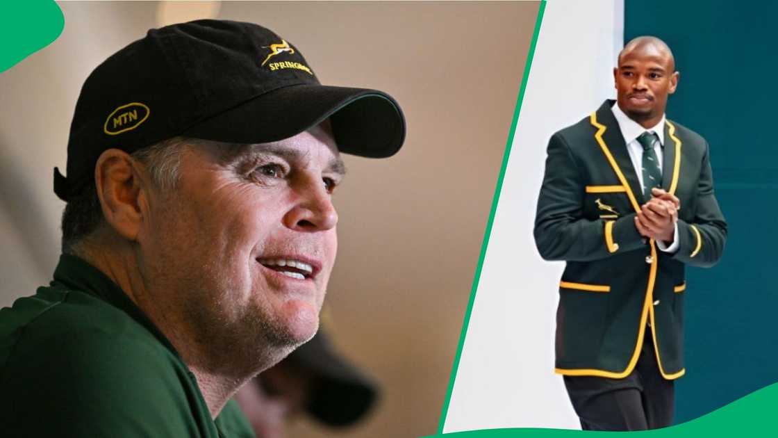 Rassie Erasmus got emotional about Makazole Mapimpi in a throwback video. Rassie Erasmus got emotional about Makazole Mapimpi in a throwback video.