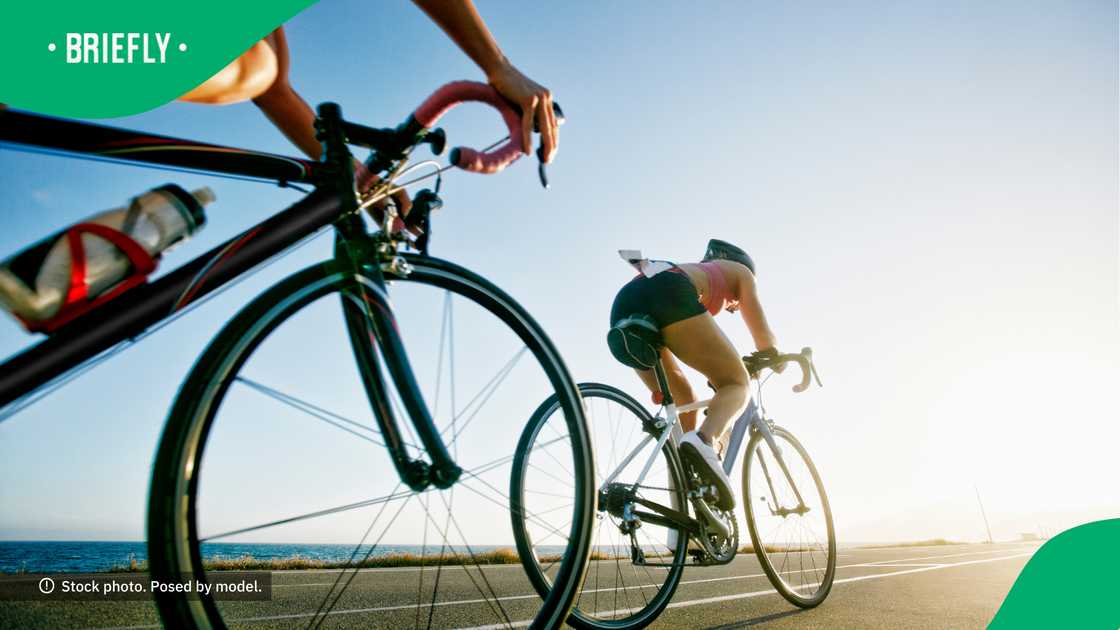 The mayor of Cape Town greeted the boys when they arrived. The mayor of Cape Town greeted the boys when they arrived.