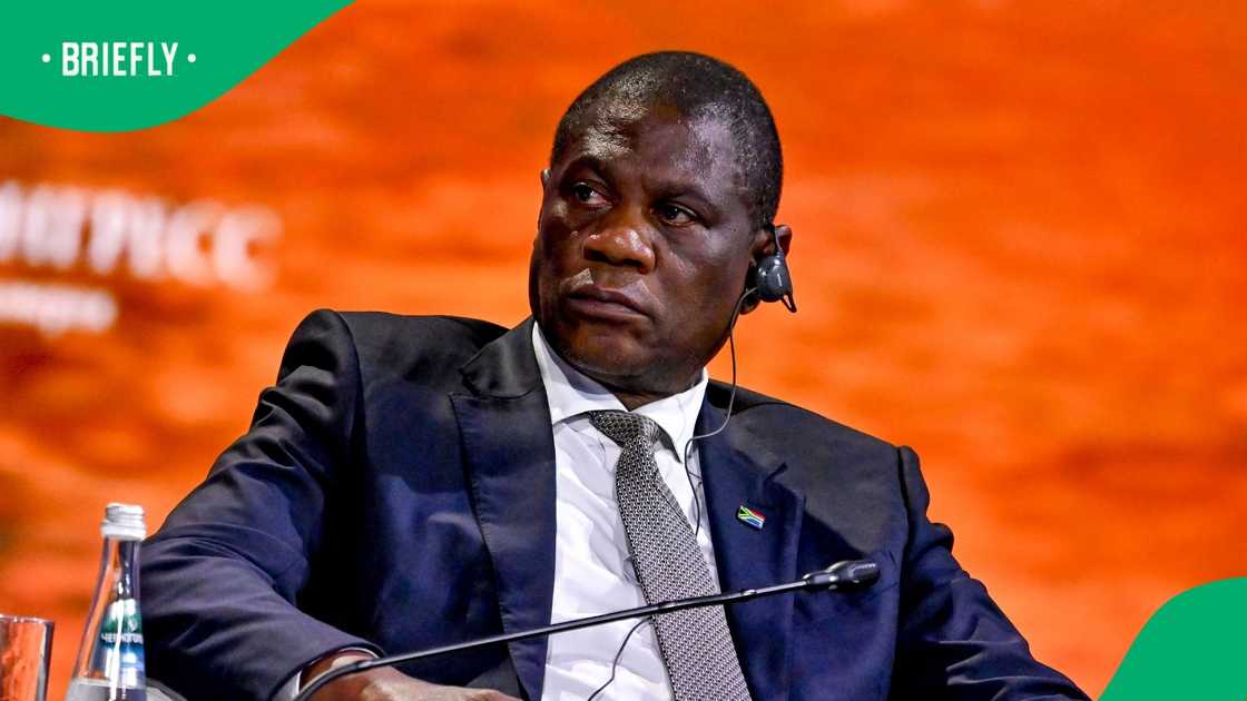 ActionSA criticised Paul Mashatile's trip to Japan ActionSA criticised Paul Mashatile's trip to Japan
