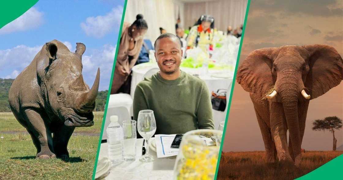 Animals prove SA money accuracy Animals prove SA money accuracy