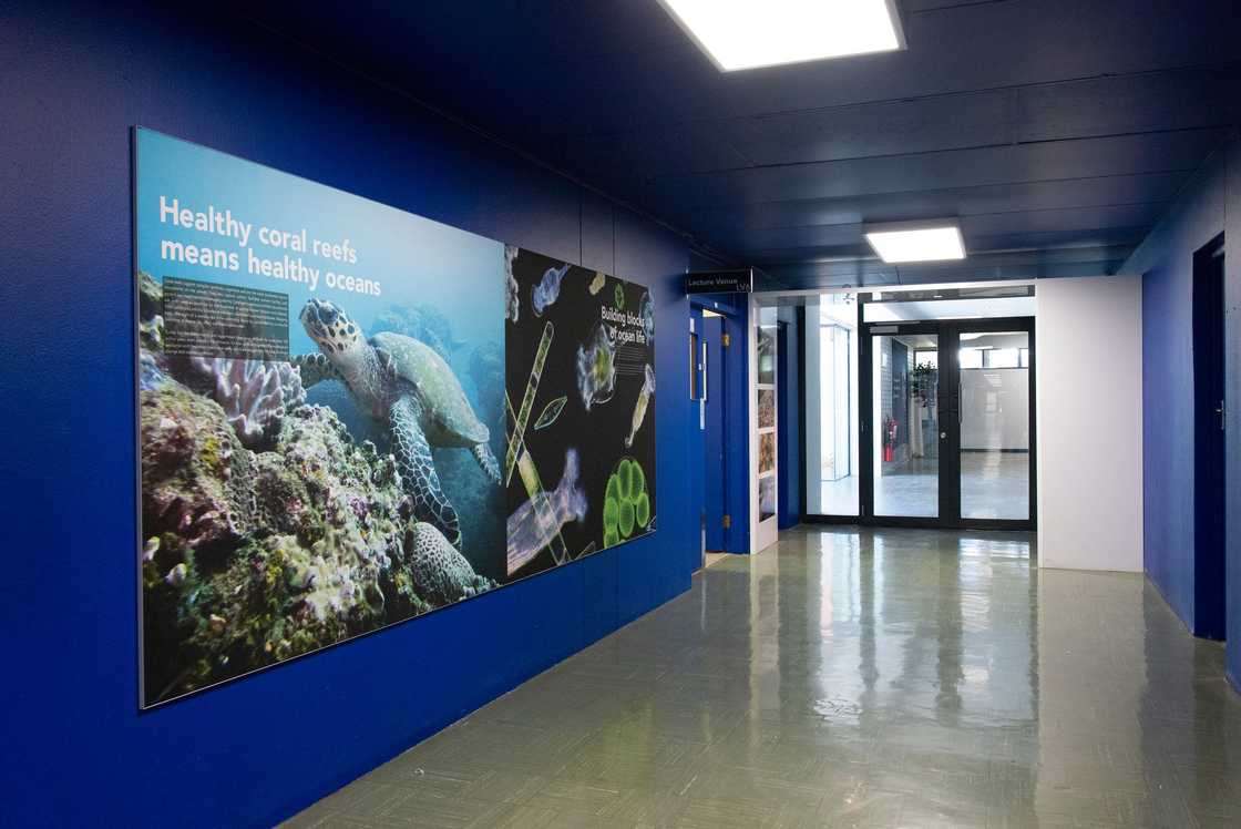 The newly established dedicated Ocean Sciences campus at NMU The newly established dedicated Ocean Sciences campus at NMU