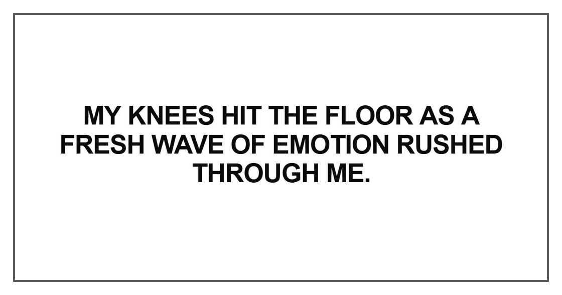 My knees hit the floor as a fresh wave of emotion rushed through me. My knees hit the floor as a fresh wave of emotion rushed through me.