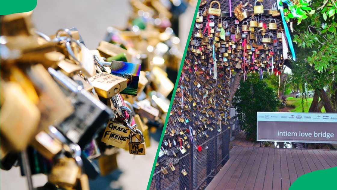 Padlocks attached at Pretoria Love Bridge Padlocks attached at Pretoria Love Bridge