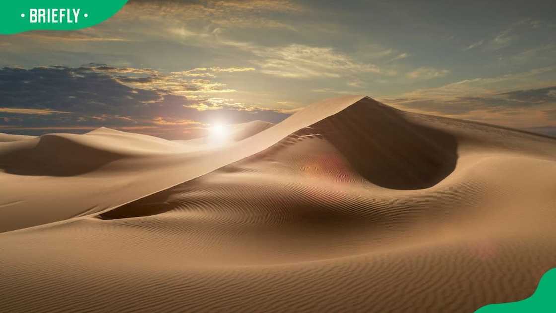 A view of the Arabian desert A view of the Arabian desert