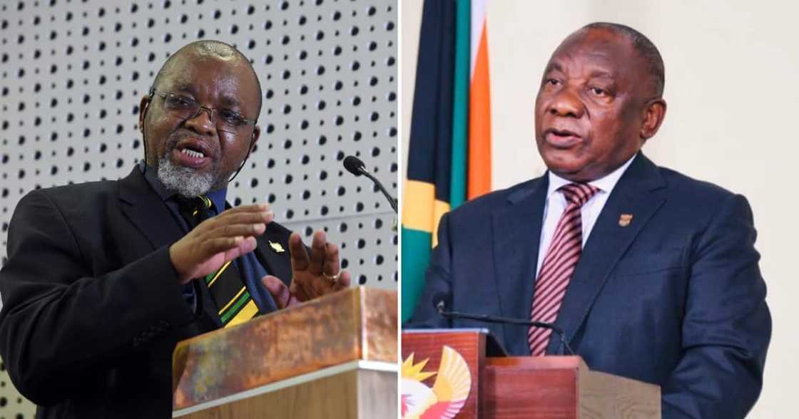 Phala Phala, Arthur Fraser, Gwede Mantashe, Cyril Ramaphosa Phala Phala, Arthur Fraser, Gwede Mantashe, Cyril Ramaphosa