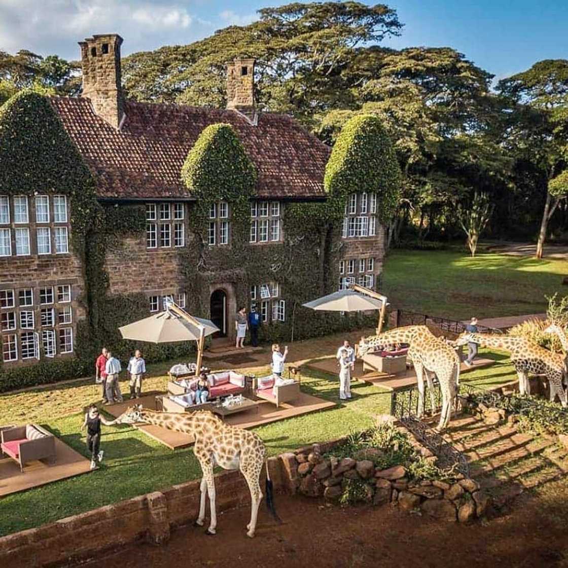 20 most beautiful, prestigious and expensive neighborhoods in Africa 20 most beautiful, prestigious and expensive neighborhoods in Africa