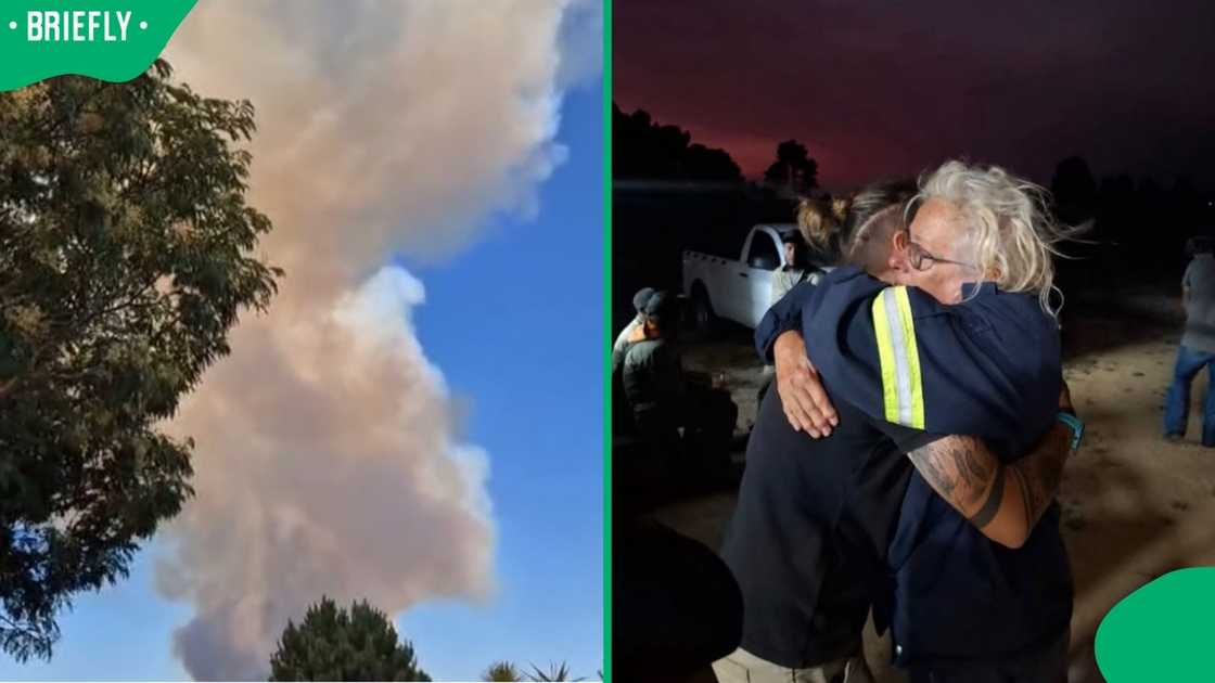 A wildfire affected a big cat sanctuary. A wildfire affected a big cat sanctuary.