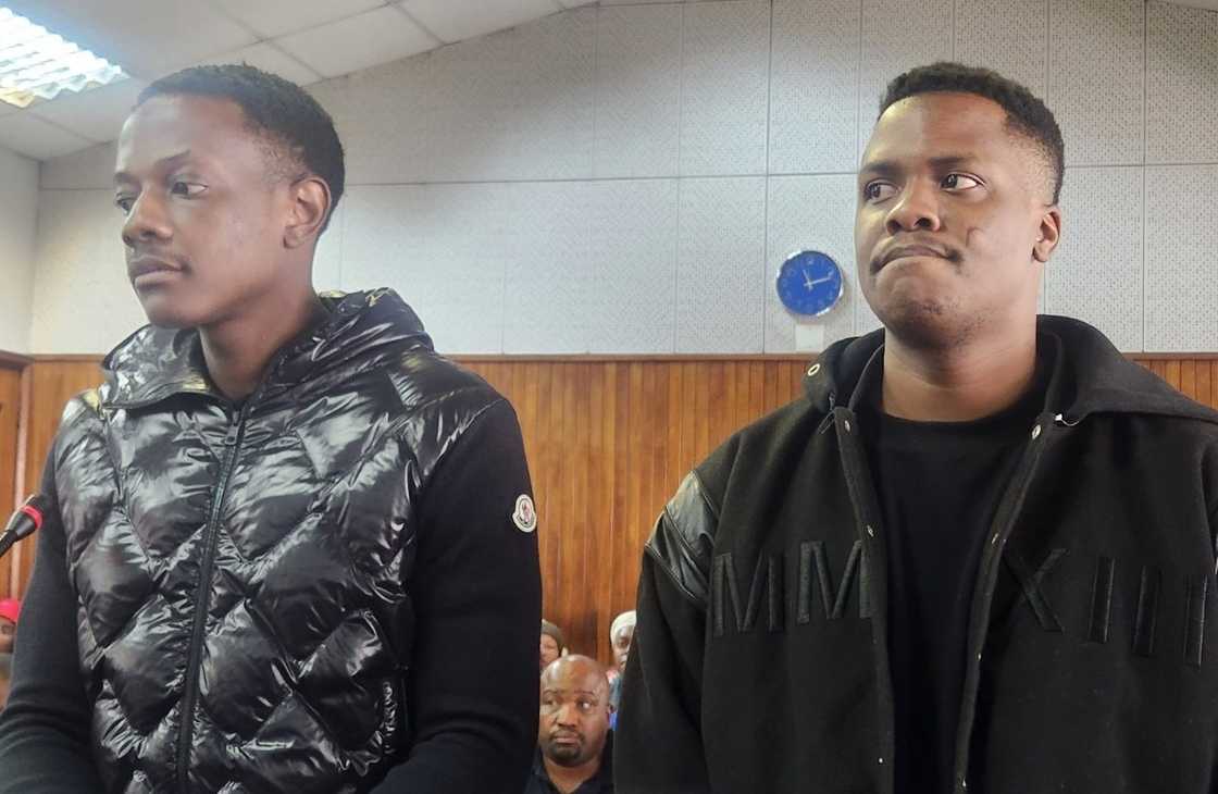 Bellarmine Mugabe and his co-accused entered into a plea deal after their arrest Bellarmine Mugabe and his co-accused entered into a plea deal after their arrest