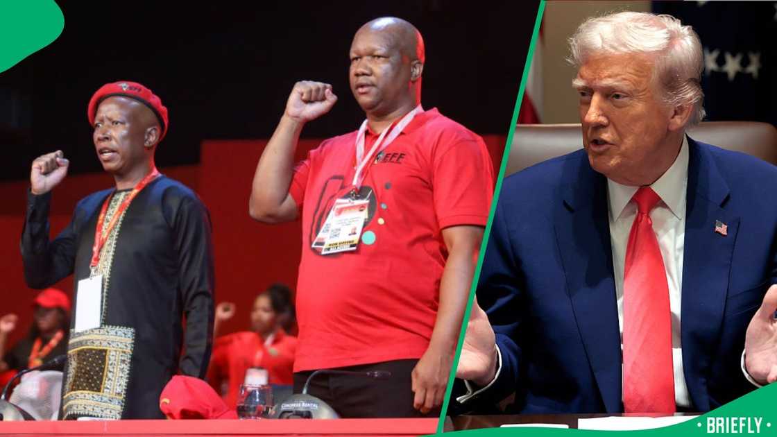 The Economic Freedom Fighters hit back against Donald Trump's latest tweet The Economic Freedom Fighters hit back against Donald Trump's latest tweet