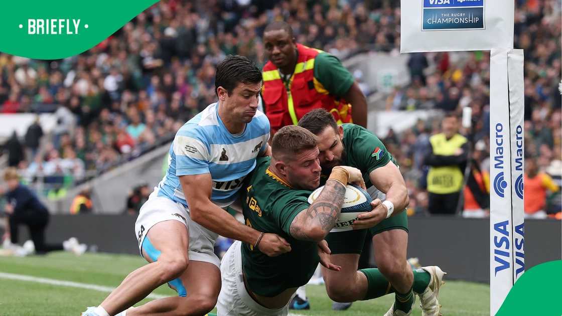 Springboks, Malcolm Marx ,Rugby Championship, Los Pumas