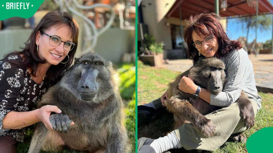 Barista and Cindy the Baboon.