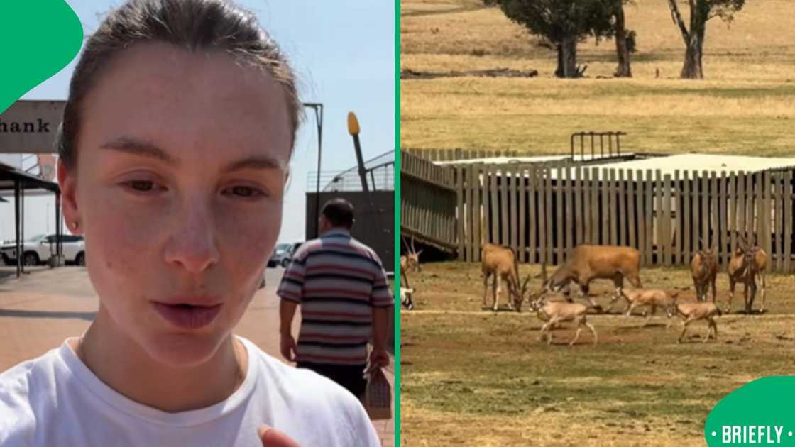 A content creator shared how an ordinary petrol station visit turned into a stunning wildlife moment in South Africa