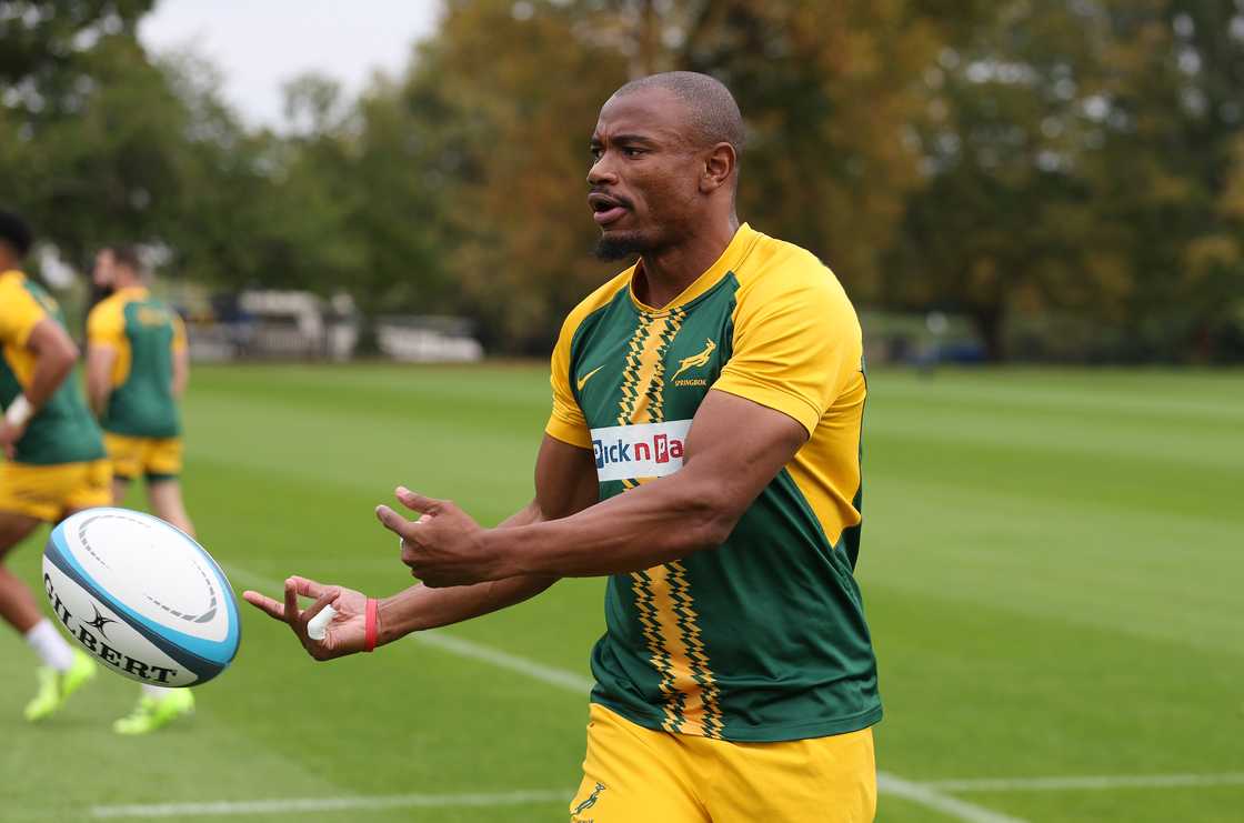 Springboks, South Africa, Makazole Mapimpi