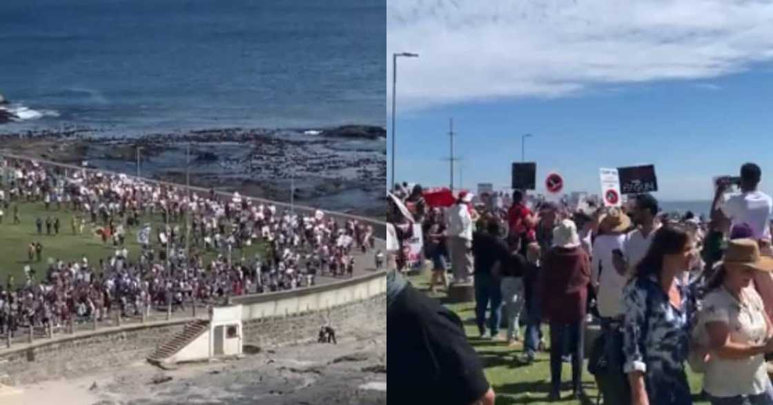 600 Illegal Marchers, Anti-Vaxxers, Charged, Cape Town, Police, Covid 19