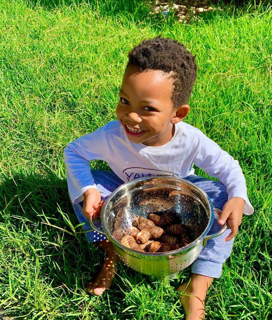 Celebrity in South Africa Celebrity in South Africa