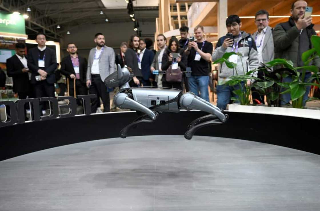 Chinese firm Tecno Mobile showed off a robotic dog inspired by the German Shepherd which uses AI and powerful sensors to understand voice commands and perform lifelike actions such as bowing and shaking hands Chinese firm Tecno Mobile showed off a robotic dog inspired by the German Shepherd which uses AI and powerful sensors to understand voice commands and perform lifelike actions such as bowing and shaking hands