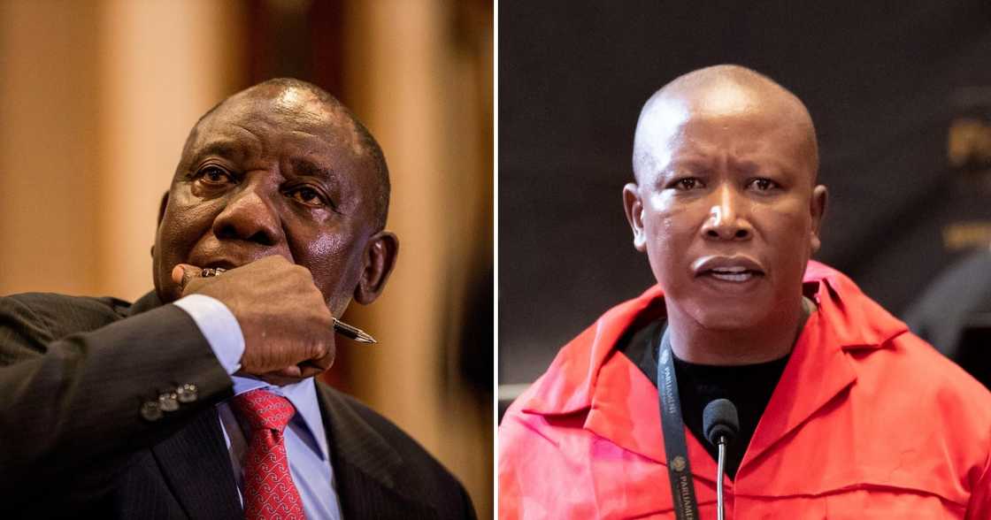 Brazilian hackers, threaten to leak personal info, SA politicians, President Cyril Ramaphosa, Julius Malema Brazilian hackers, threaten to leak personal info, SA politicians, President Cyril Ramaphosa, Julius Malema