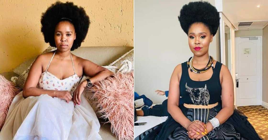 Zahara Zahara