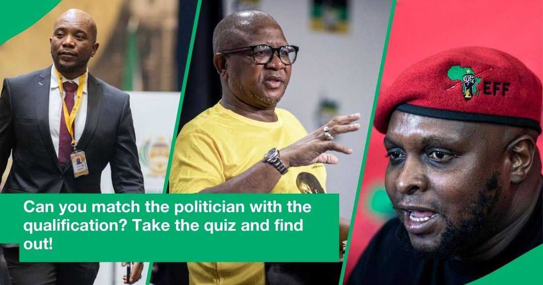 Politicians including Mmusi Maimane, Fikile Mbalula and Floyd Shivambu have academic qualifications