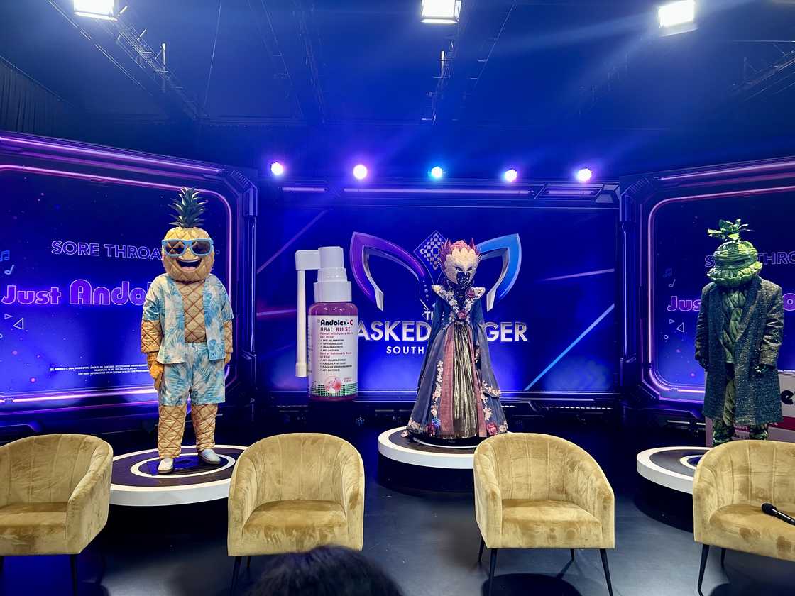 Pineapple, Protea and Spinach for ‘The Masked Singer South Africa’.