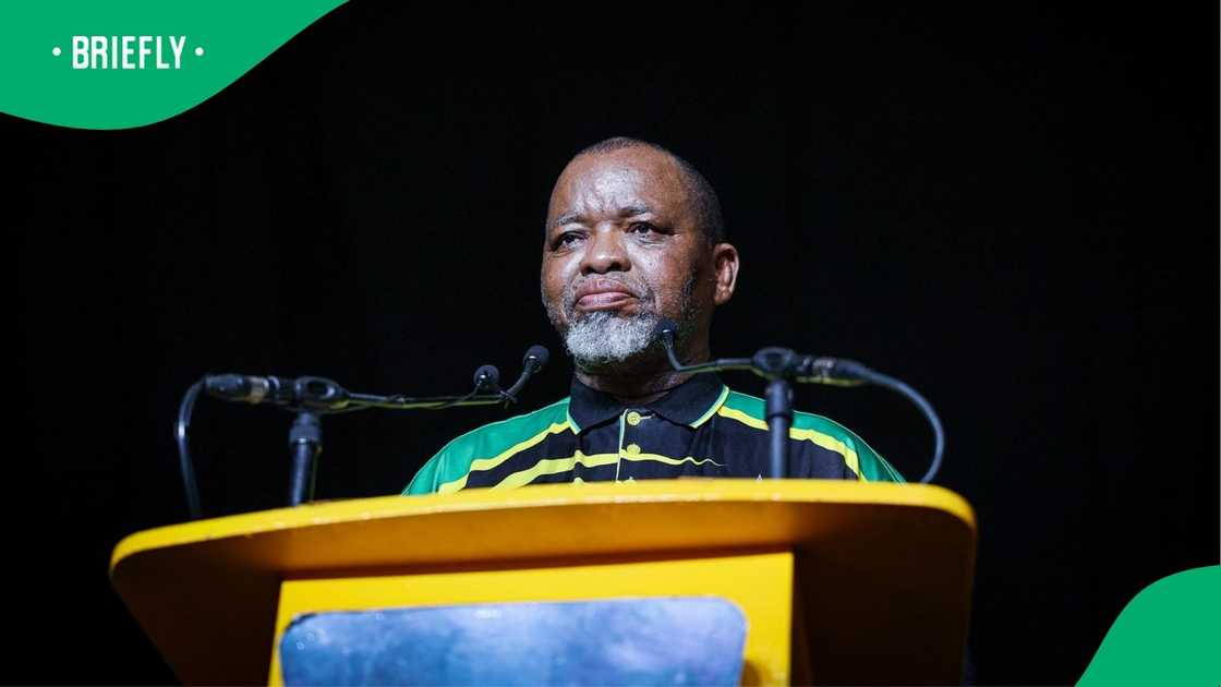 Gwede Mantashe reprimanded ANC councillors Gwede Mantashe reprimanded ANC councillors