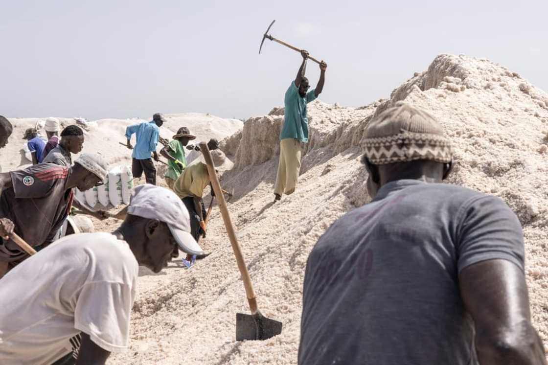 This year’s rainfall was exceptional, and could plausibly be linked to climate change, according to Senegal’s meteorology agency This year’s rainfall was exceptional, and could plausibly be linked to climate change, according to Senegal’s meteorology agency