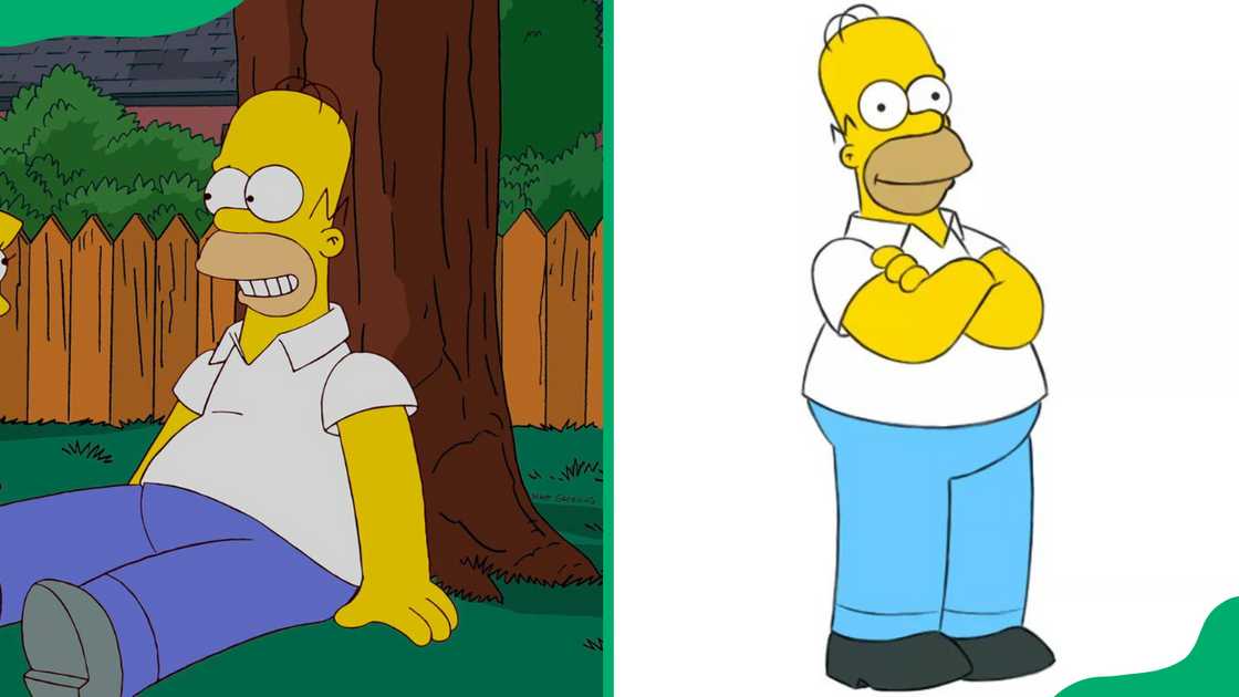 Homer Simpson from The Simpsons Homer Simpson from The Simpsons